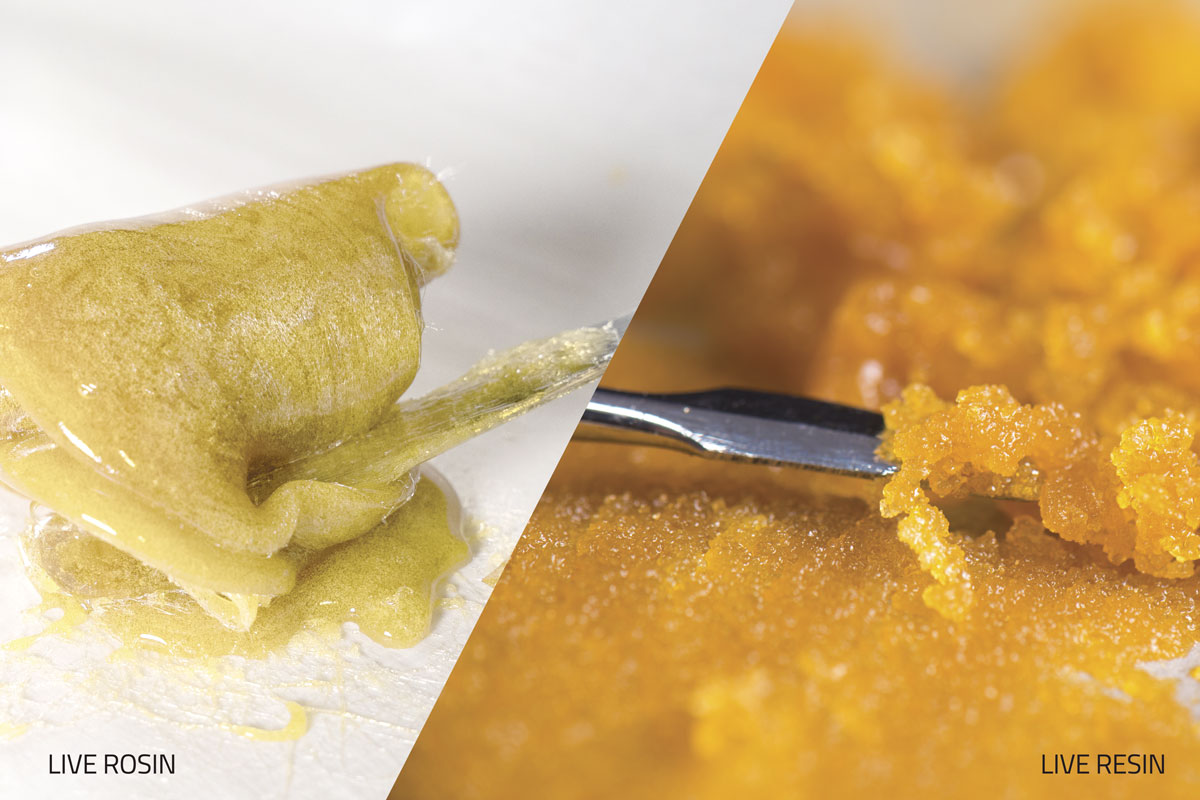 What Is Live Rosin Triminator