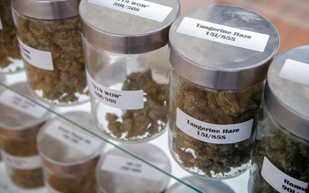 Setting up a Curing Room