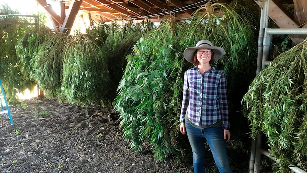 Noelle standing in front of strings of drying cannabis plants