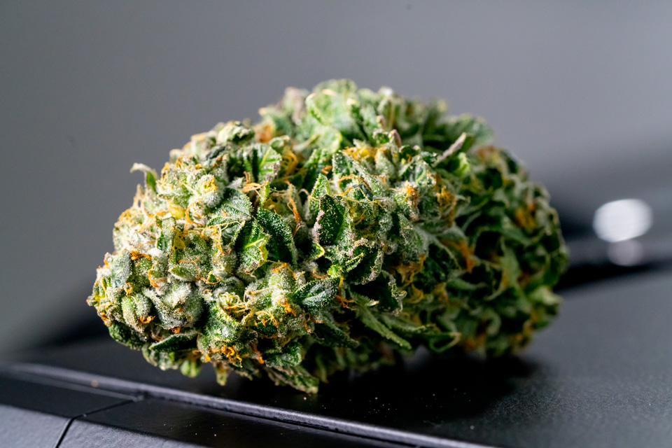 triminator-hybrid-wet-bud-trimmed triminator-hybrid-wet-bud-trimmed