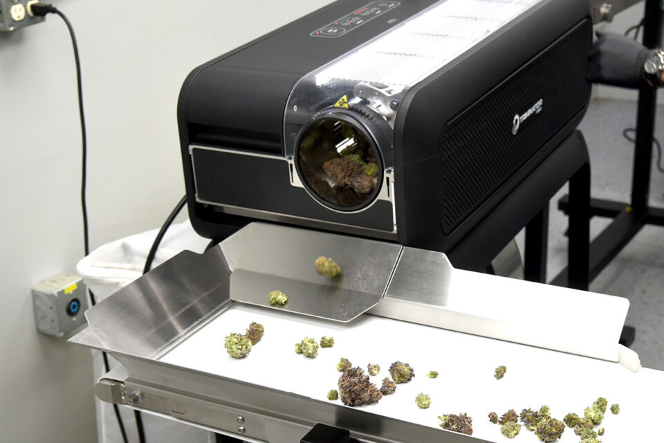 Hybrid™ Infeed Conveyor and Outfeed Conveyor | Triminator