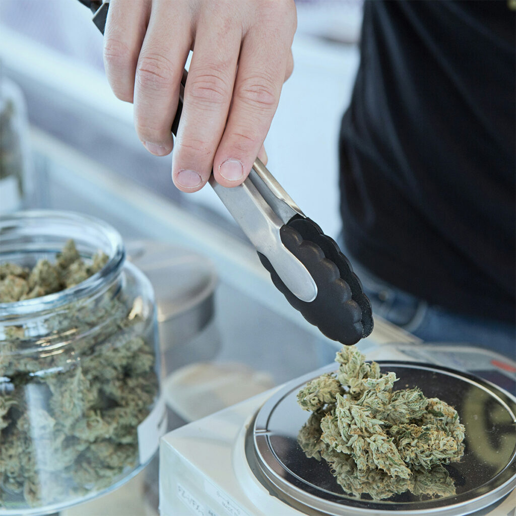 dispensary worker weighing cannabis