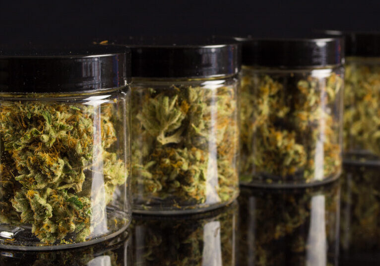 Cannabis nugs in jars