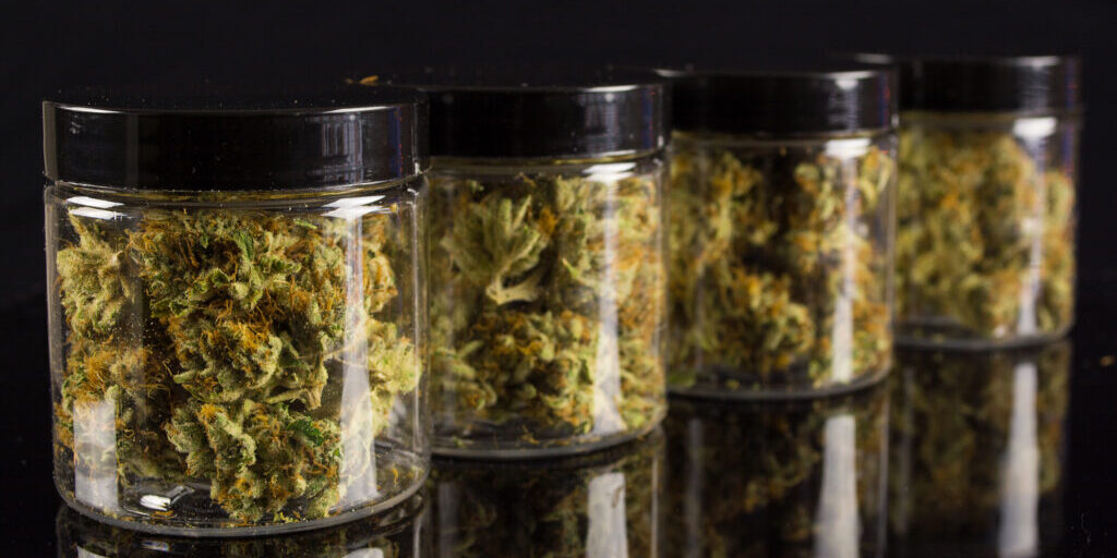 Cannabis nugs in jars