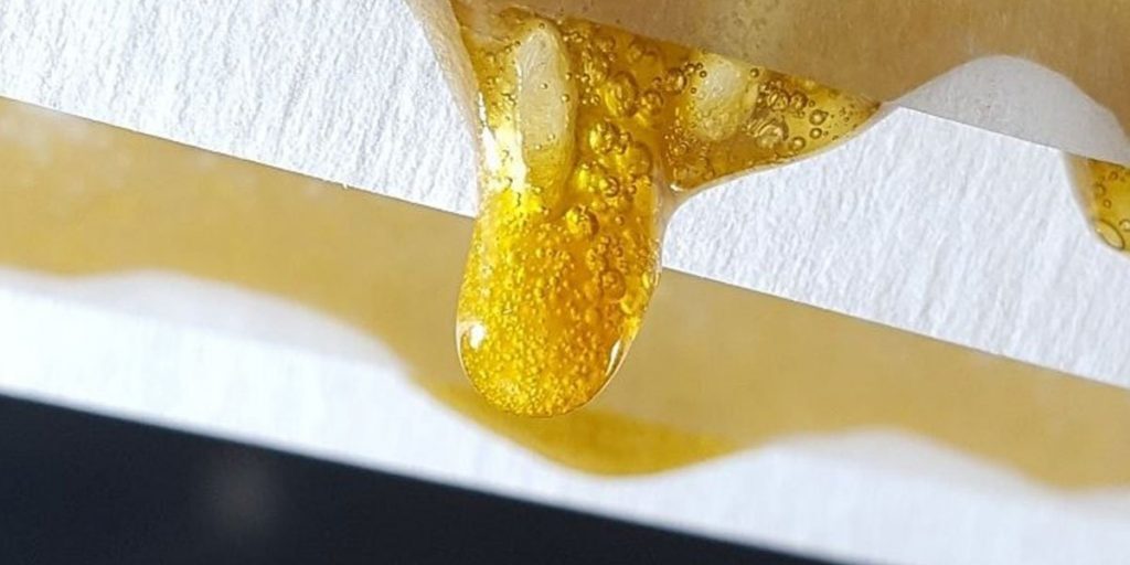 rosin dripping from the Triminator TRP Stack