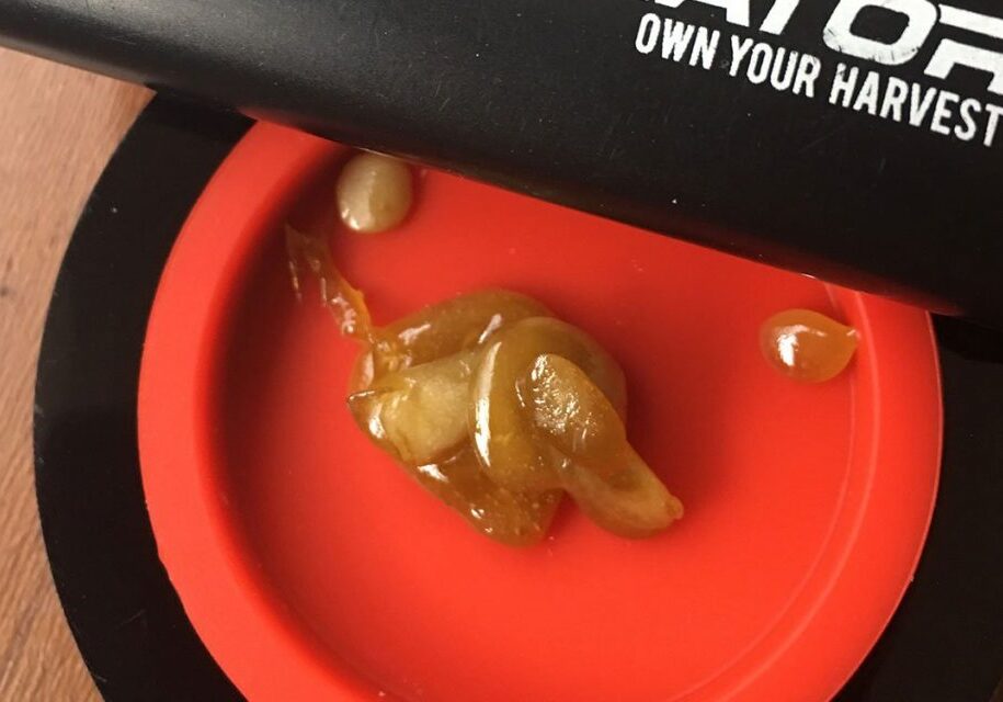 5 Steps to follow to ensure high quality rosin.