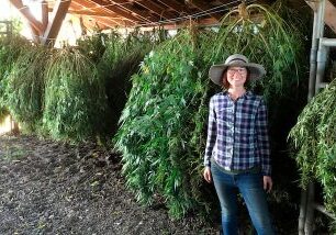 Noelle standing in front of strings of drying cannabis plants