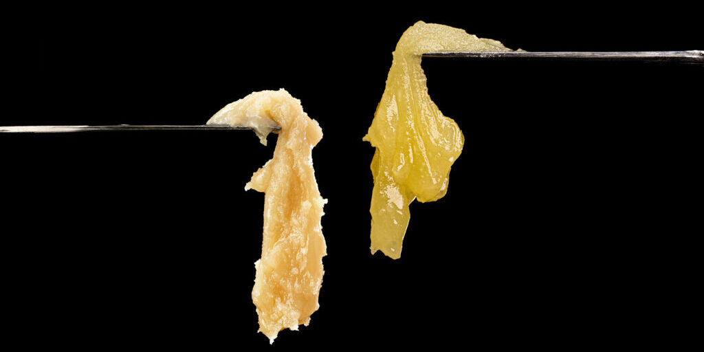 rosin-left-vs-resin-right